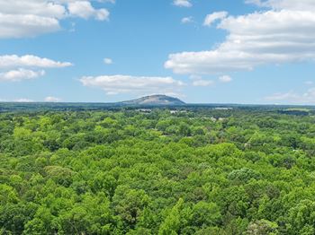 Located near arabia mountain national heritage area